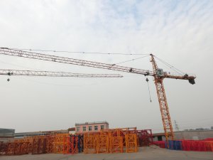 Ce Crane Hoist Made in China by Hsjj